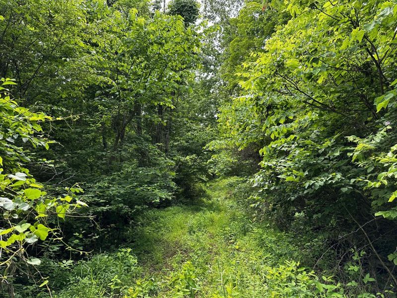 1865 Hull Road, Unit (Tract 2 W, Patriot, OH 45658 Photo 42