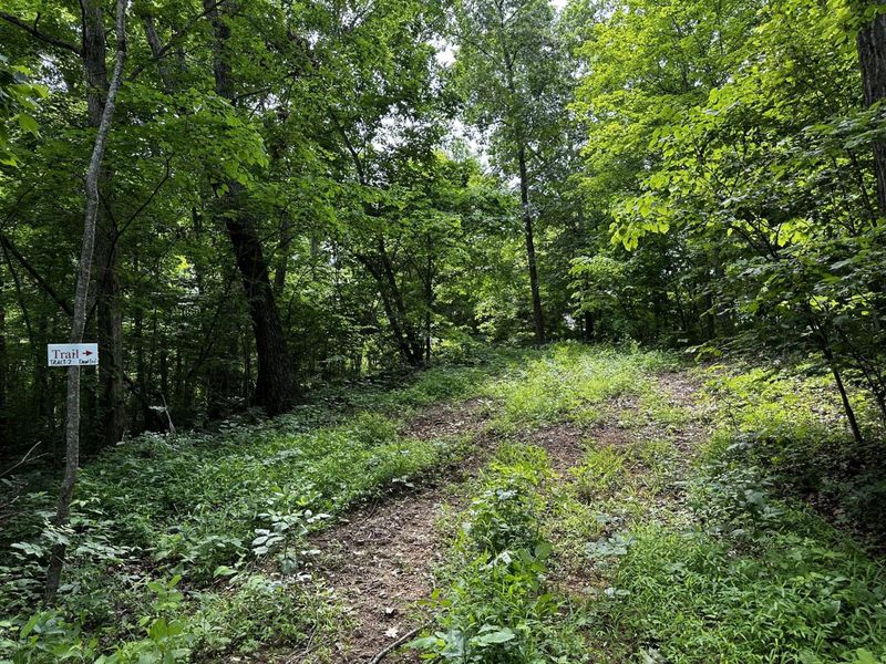 1865 Hull Road, Unit (Tract 2 W, Patriot, OH 45658 Photo 43