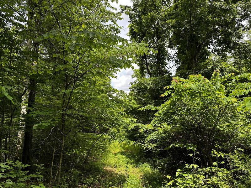 1865 Hull Road, Unit (Tract 2 W, Patriot, OH 45658 Photo 44