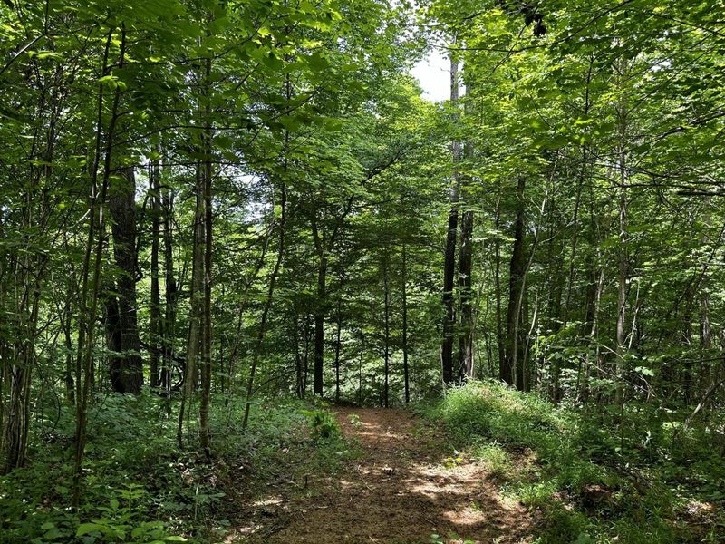 1865 Hull Road, Unit (Tract 2 W, Patriot, OH 45658 Photo 45