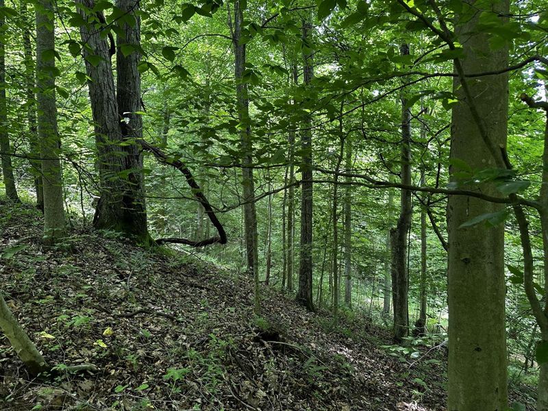 1865 Hull Road, Unit (Tract 2 W, Patriot, OH 45658 Photo 47