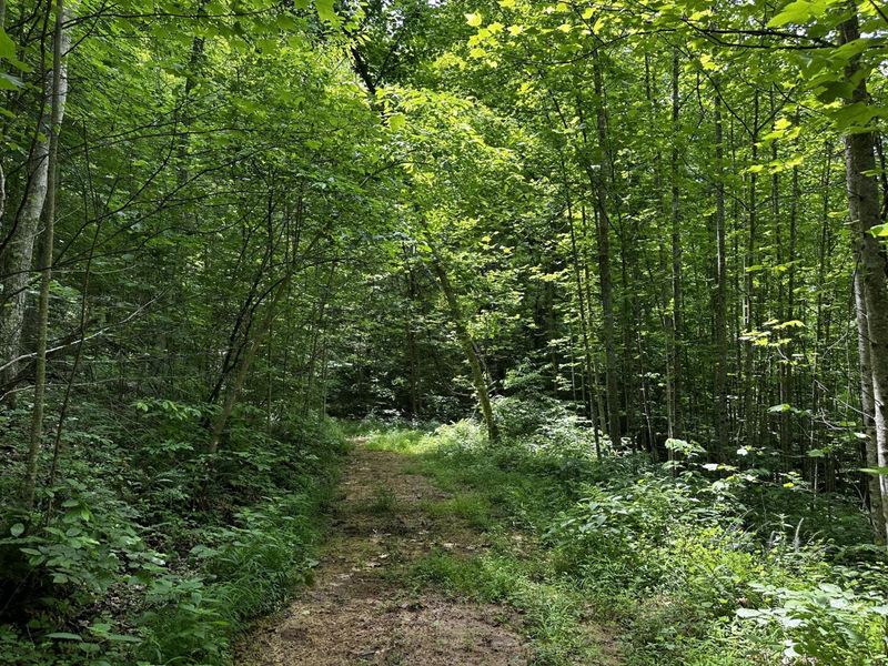 1865 Hull Road, Unit (Tract 2 W, Patriot, OH 45658 Photo 48