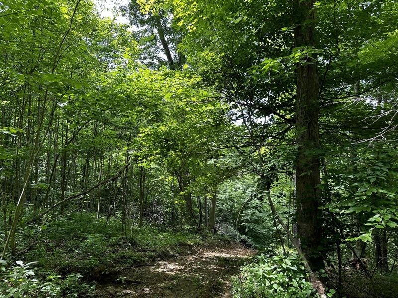 1865 Hull Road, Unit (Tract 2 W, Patriot, OH 45658 Photo 49