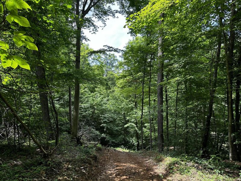 1865 Hull Road, Unit (Tract 2 W, Patriot, OH 45658 Photo 50