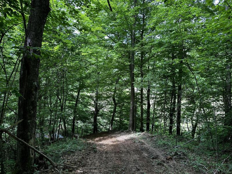 1865 Hull Road, Unit (Tract 2 W, Patriot, OH 45658 Photo 51