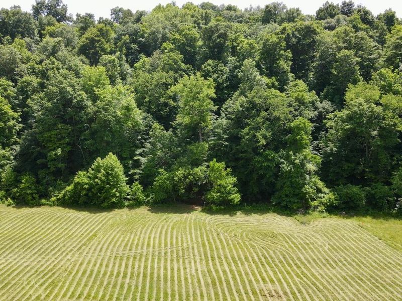 1865 Hull Road, Unit (Tract 2 W, Patriot, OH 45658 Photo 55