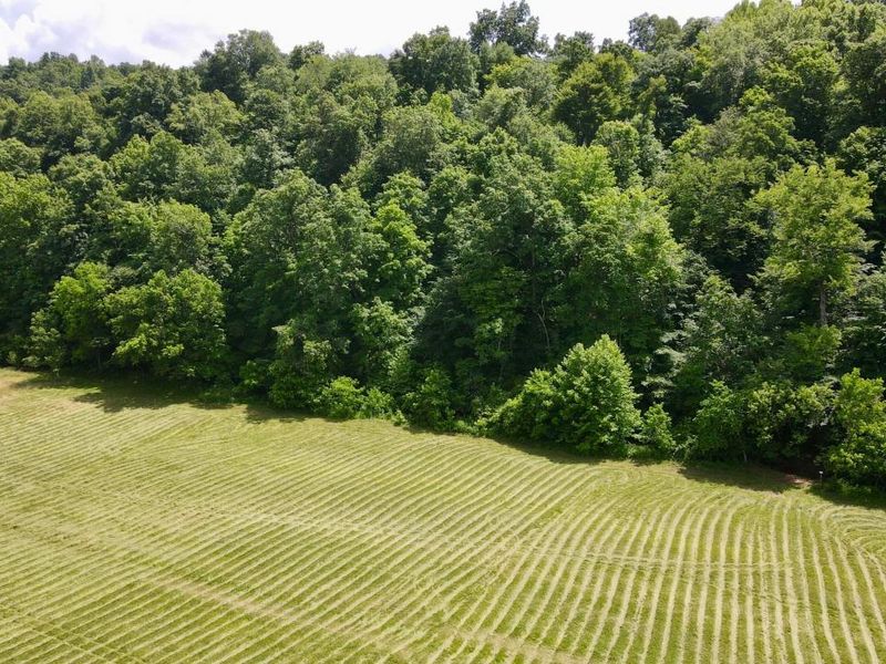 1865 Hull Road, Unit (Tract 2 W, Patriot, OH 45658 Photo 56