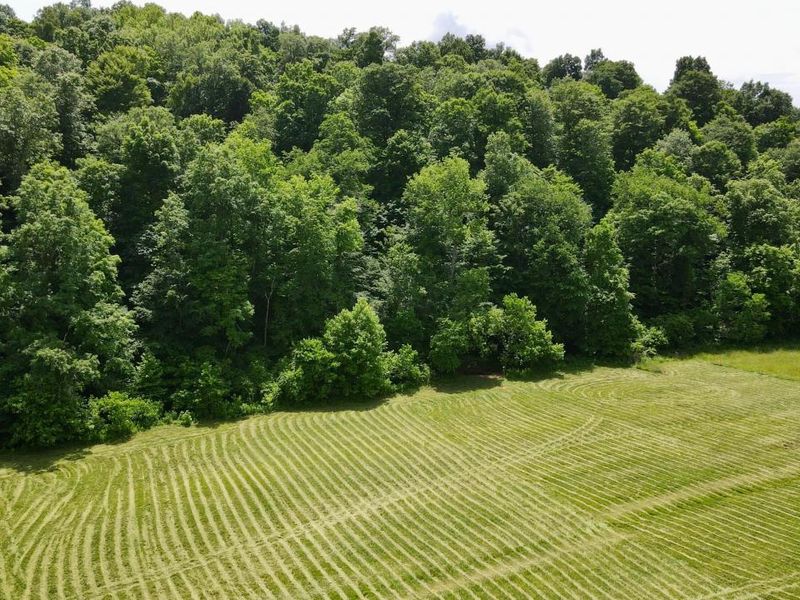 1865 Hull Road, Unit (Tract 2 W, Patriot, OH 45658 Photo 58