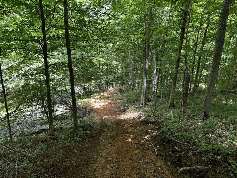 1865 Hull Road, Unit (Tract 2 W, Patriot, OH 45658 Photo 6