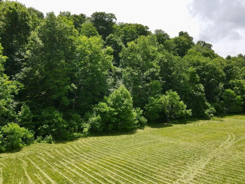 1865 Hull Road, Unit (Tract 2 W, Patriot, OH 45658 Photo 62