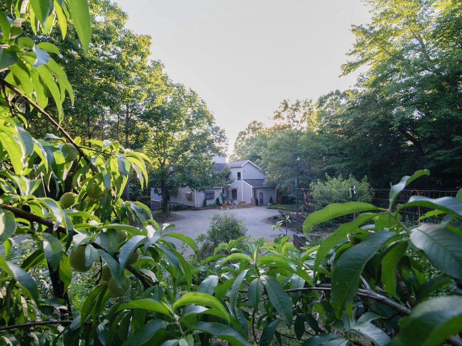 Property Image 51