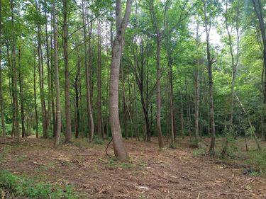 0 Lovers Lane, Tompkinsville, KY 42167