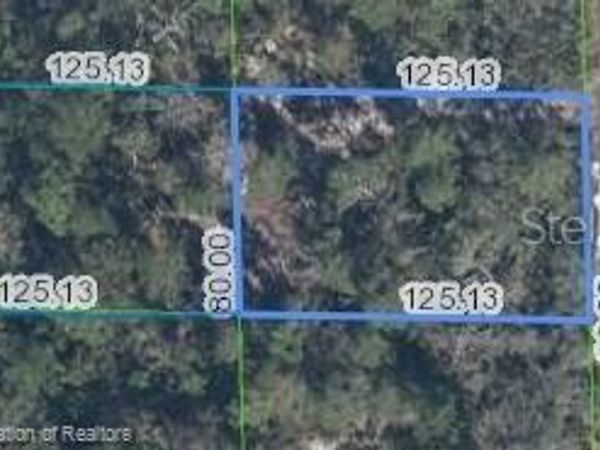 922 WESTERN BOULEVARD, LAKE PLACID, FL 33852