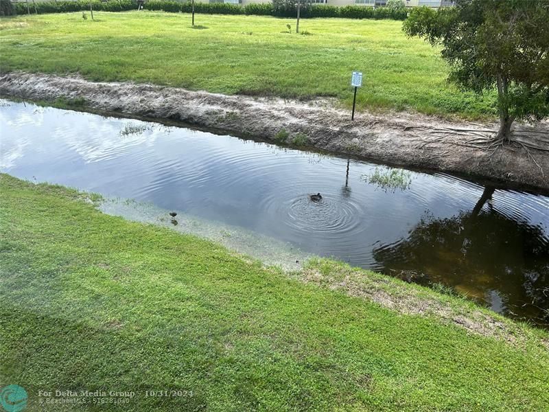 601 NW 76th Terrace, Unit 206, Margate, FL 33063 Photo