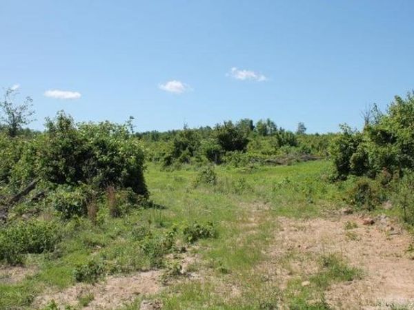 Tilly, AR 72679