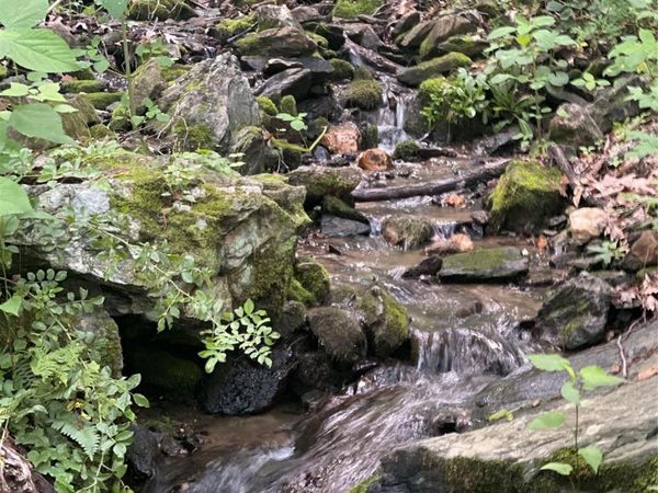 TBD Mountain Glen Road, Canton, NC 28716