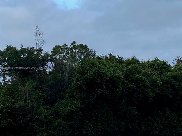 751 Puccini Avenue S, Lehigh Acres, FL 33974