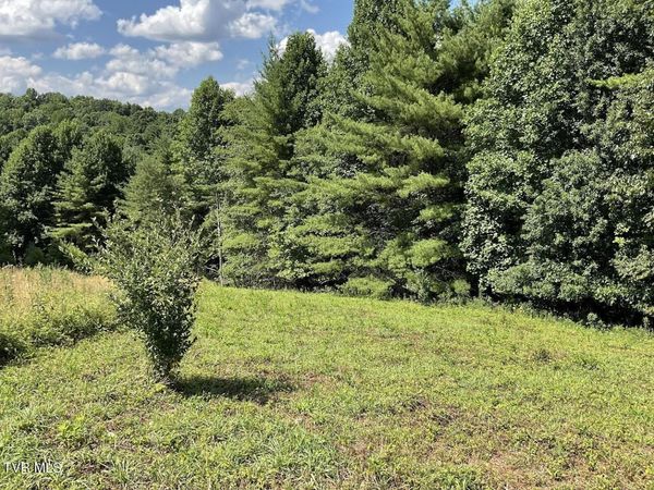 Lot # 55 Laurel Way, Mountain City, TN 37683