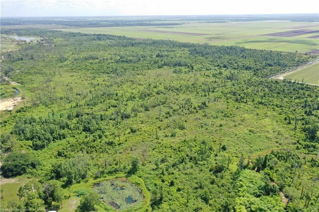 725 Moon Ranch Road, Sebring, FL 33870 Photo