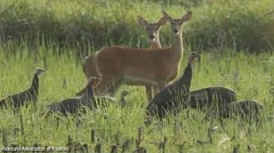 725 Moon Ranch Road, Sebring, FL 33870 Photo