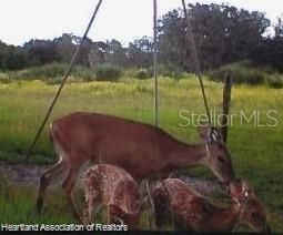 725 Moon Ranch Road, Sebring, FL 33870 Photo