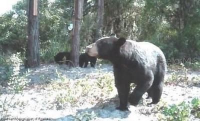 725 Moon Ranch Road, Sebring, FL 33870 Photo