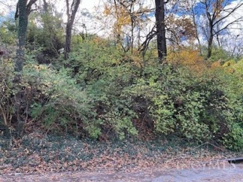 521 Tafel Street, Cincinnati, OH 45225 Photo 2