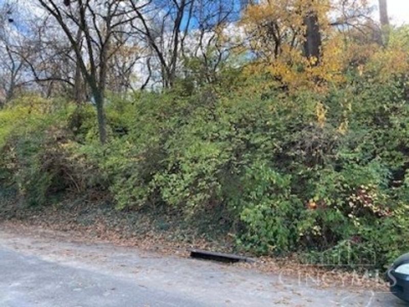 521 Tafel Street, Cincinnati, OH 45225 Photo 3