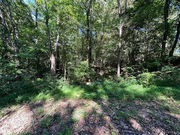 0 Cummins Rd/Eva Harbor Rd, Eva, TN 38333
