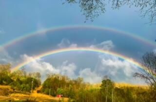 465 Anderson Cemetry Road, Livingston, KY 40445 Main Photo