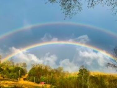 465 Anderson Cemetry Road, Livingston, KY 40445