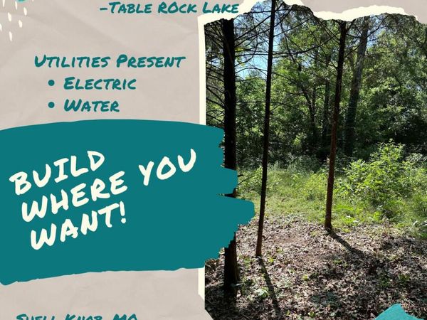 Lot 10 Oxford Street, Shell Knob, MO 65747