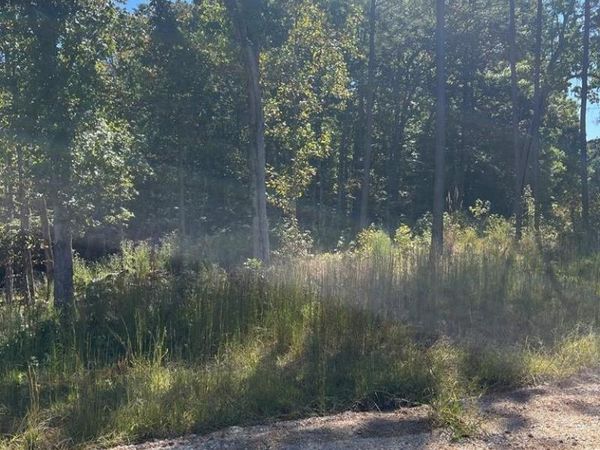 0 LakePoint Dr, Huntingdon, TN 38344