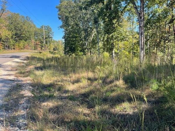 0 Lakepoint Dr, Huntingdon, TN 38344