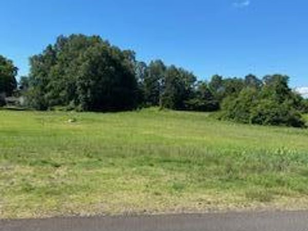 362 Dulaney St., Houston, MS 38851
