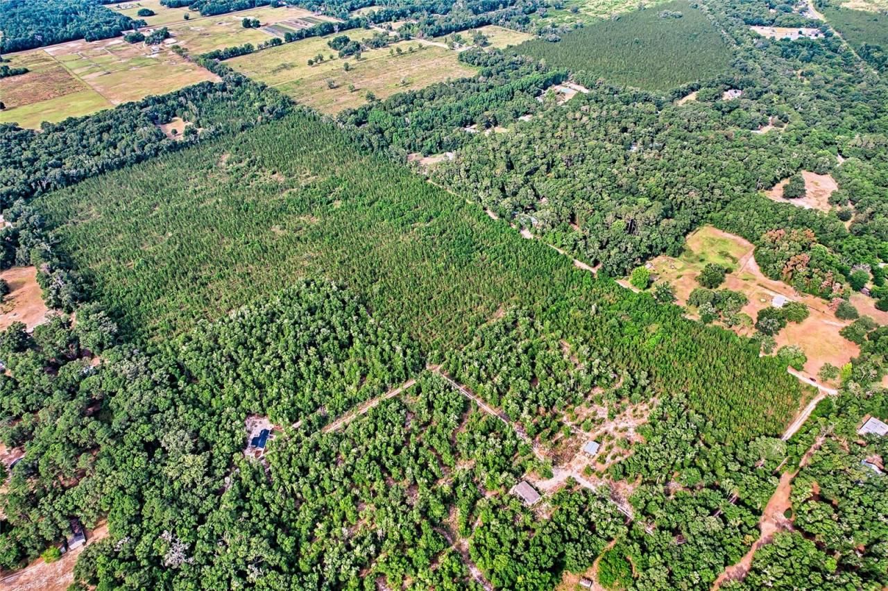 0 SW 120 Avenue, Archer, FL 32618 Photo