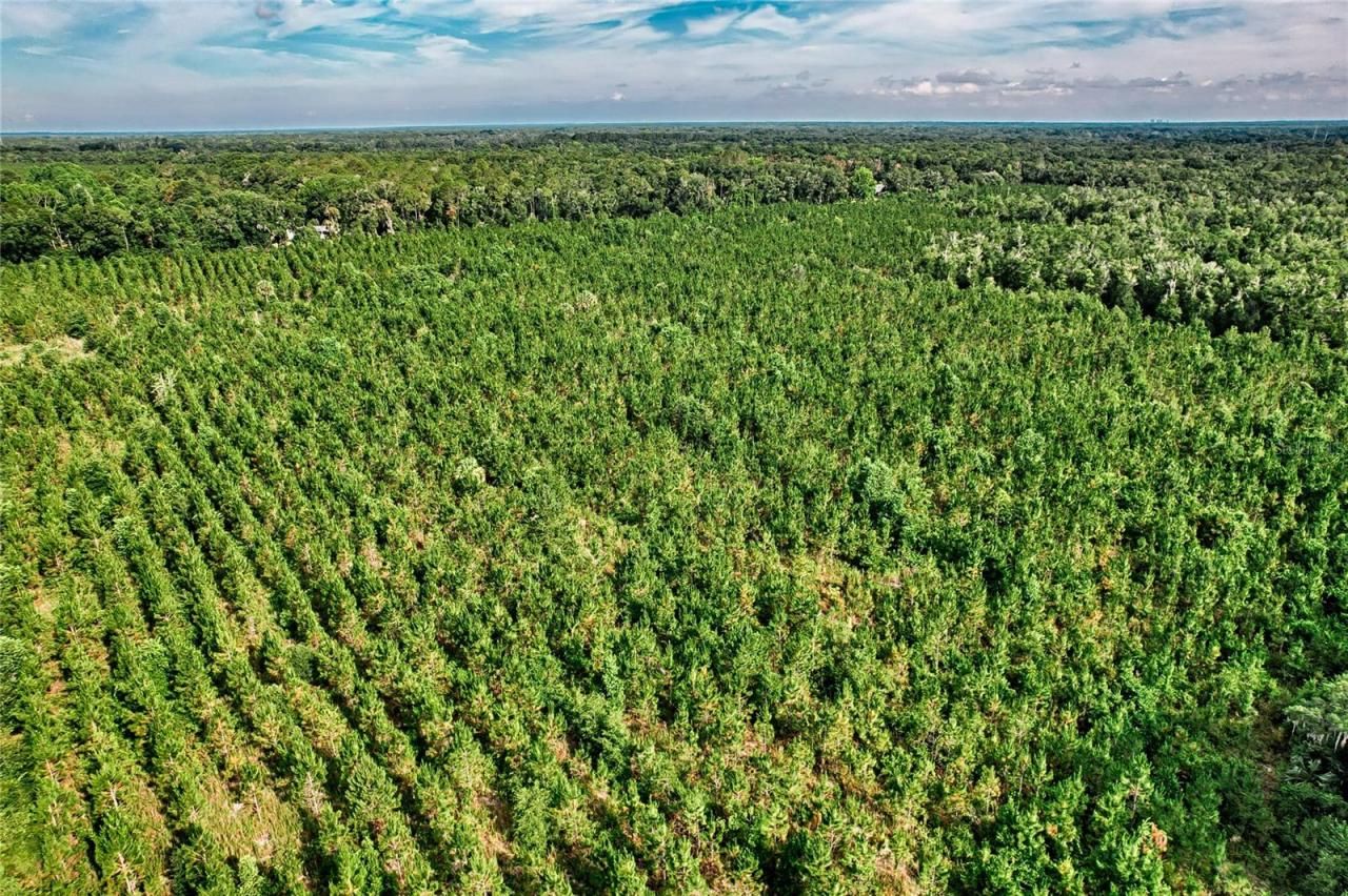 0 SW 120 Avenue, Archer, FL 32618 Photo