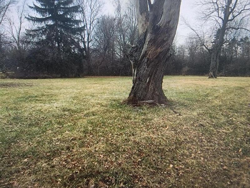 3877 Hines Road, Columbus, OH 43230 Photo 6