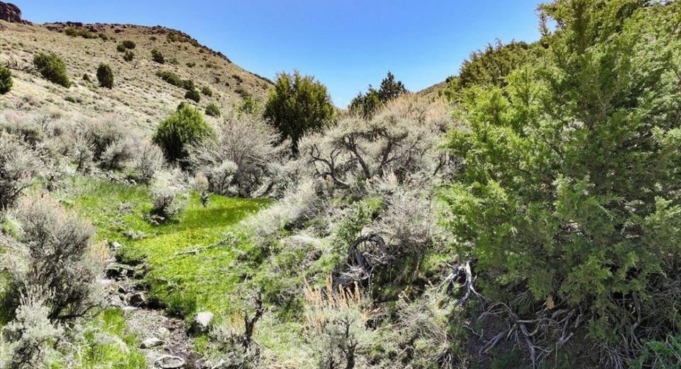 0 Pah Rah Springs Road, Reno, NV 89510 Photo