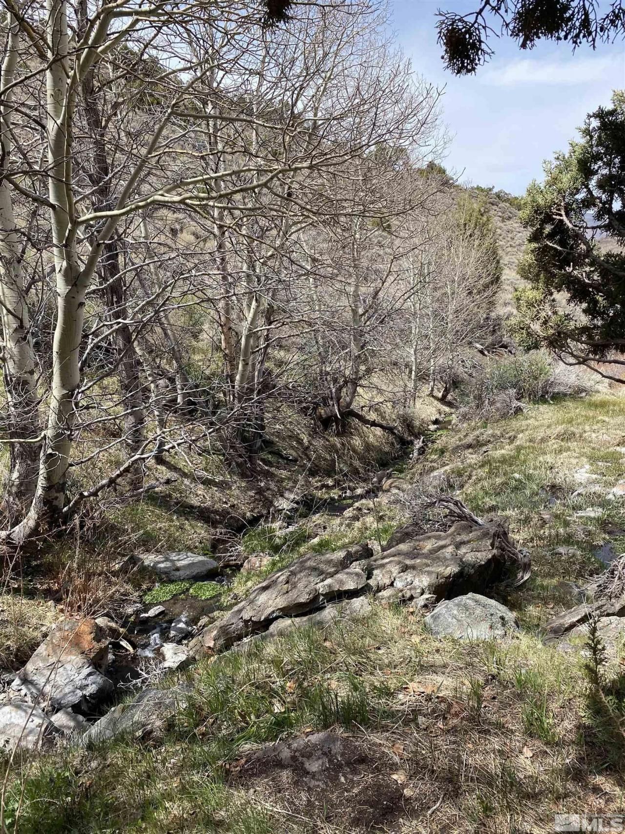 0 Pah Rah Springs Road, Reno, NV 89510 Photo