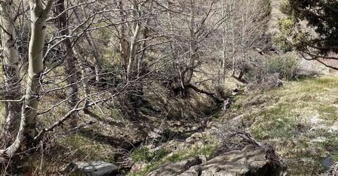 0 Pah Rah Springs Road, Reno, NV 89510 Photo