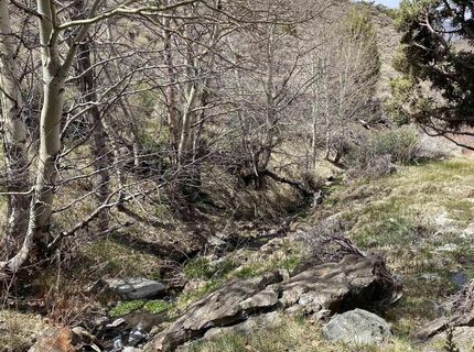 0 Pah Rah Springs Road, Reno, NV 89510 Photo