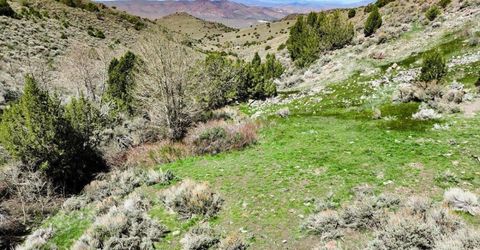 0 Pah Rah Springs Road, Reno, NV 89510 Photo