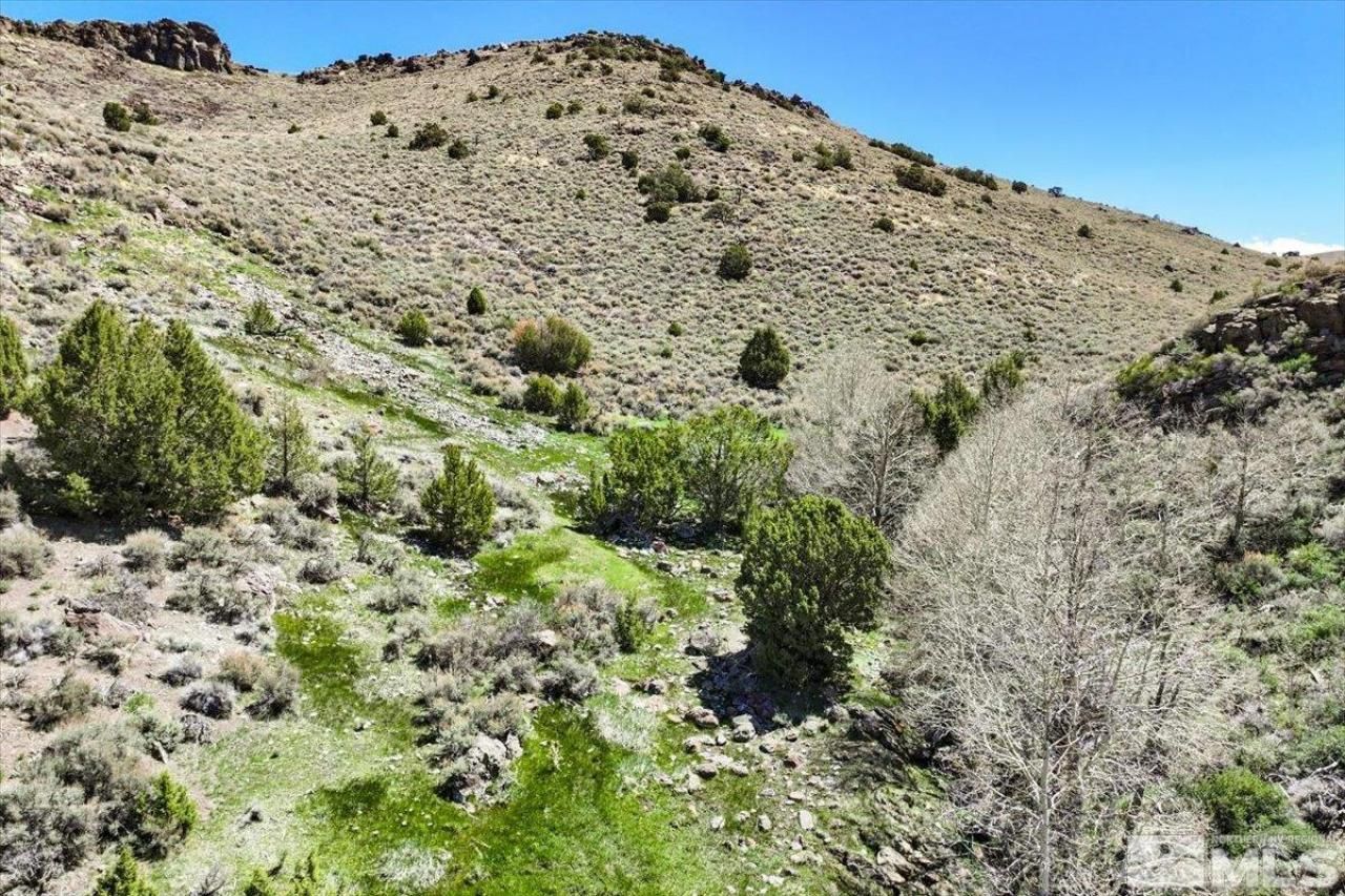 0 Pah Rah Springs Road, Reno, NV 89510 Photo