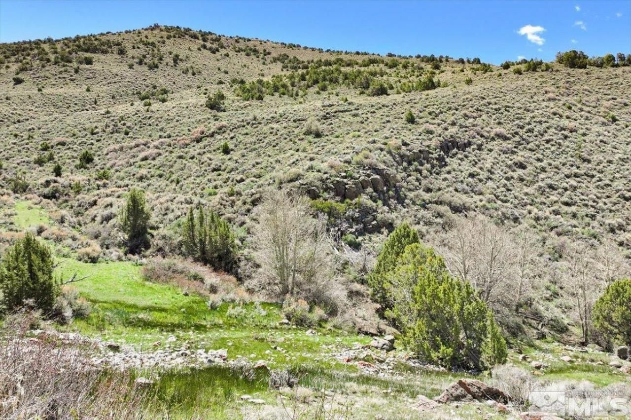 0 Pah Rah Springs Road, Reno, NV 89510 Photo