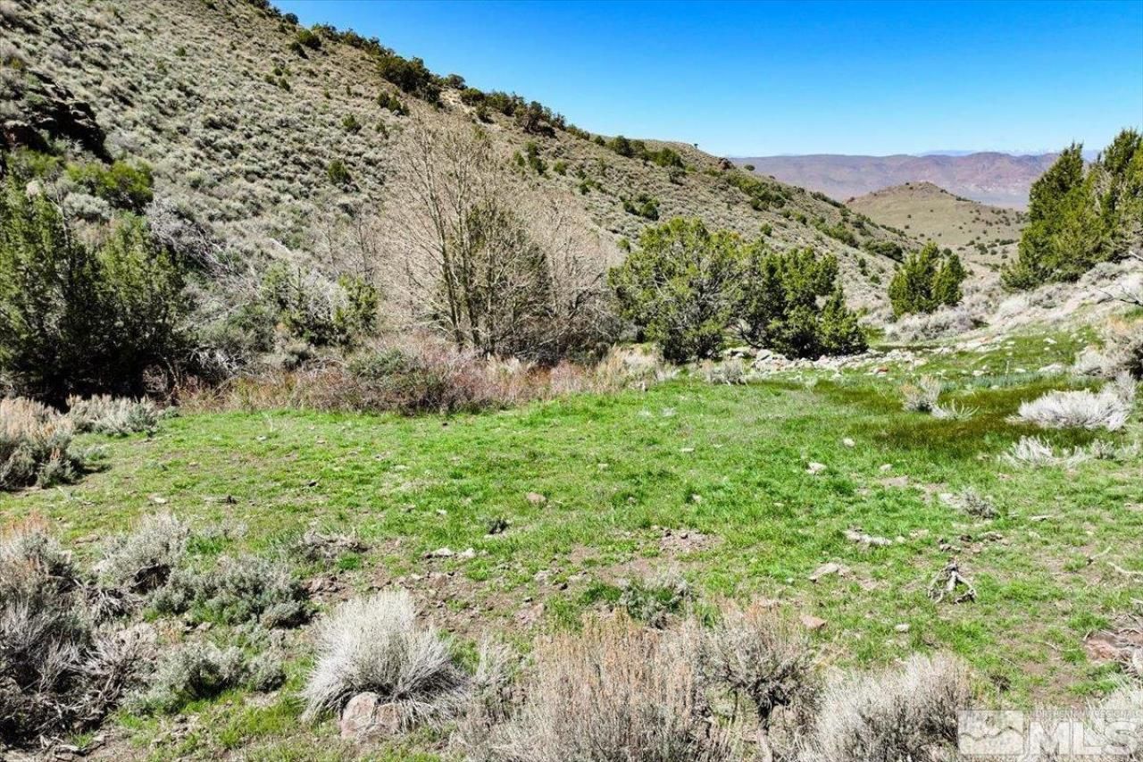 0 Pah Rah Springs Road, Reno, NV 89510 Photo