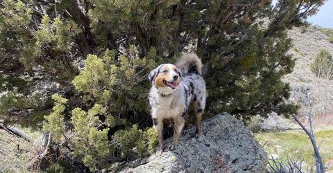 0 Pah Rah Springs Road, Reno, NV 89510 Photo