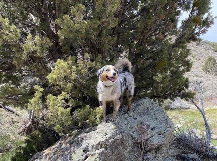 0 Pah Rah Springs Road, Reno, NV 89510 Photo