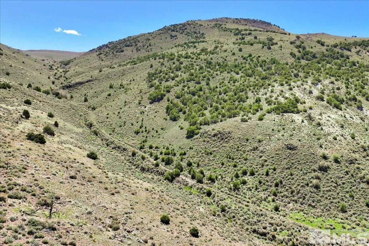 0 Pah Rah Springs Road, Reno, NV 89510 Photo