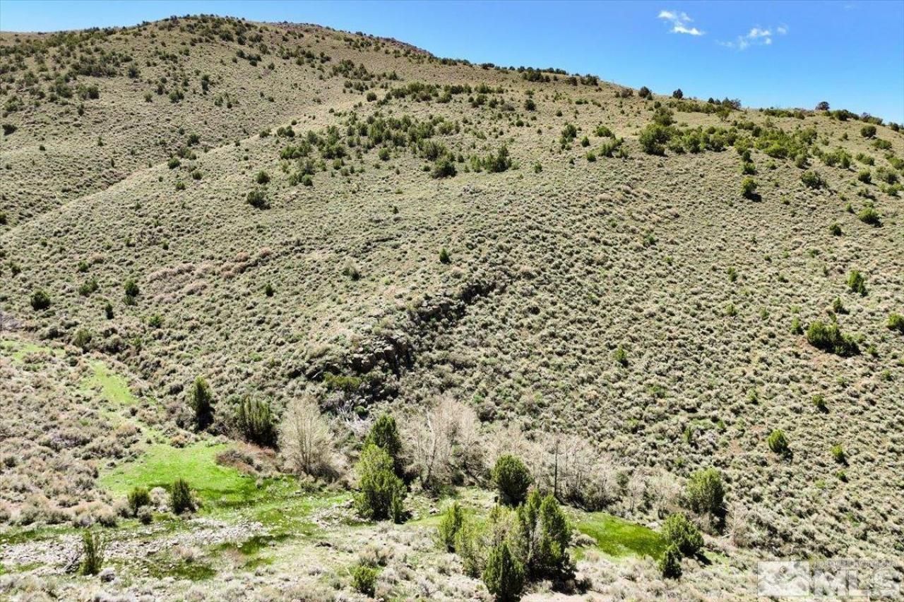 0 Pah Rah Springs Road, Reno, NV 89510 Photo